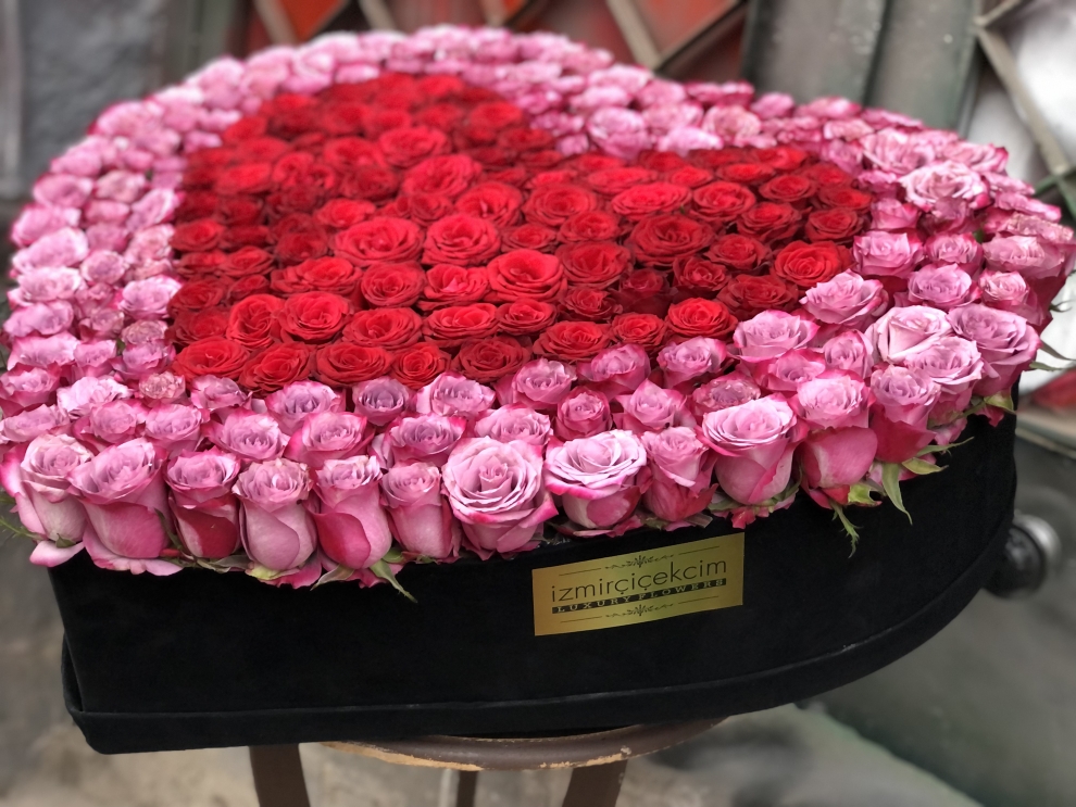 Valentine's Dream
