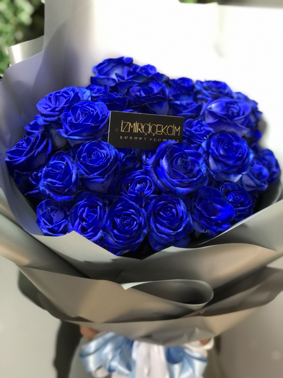 Blue Rose